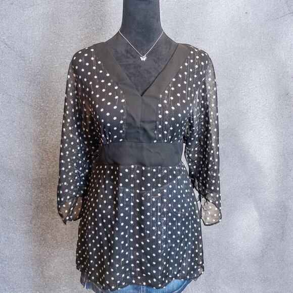 Vintage Y2K Notations Sheer Black Polka Dot Metallic Stripe Empire Waist Blouse - Picture 2 of 9